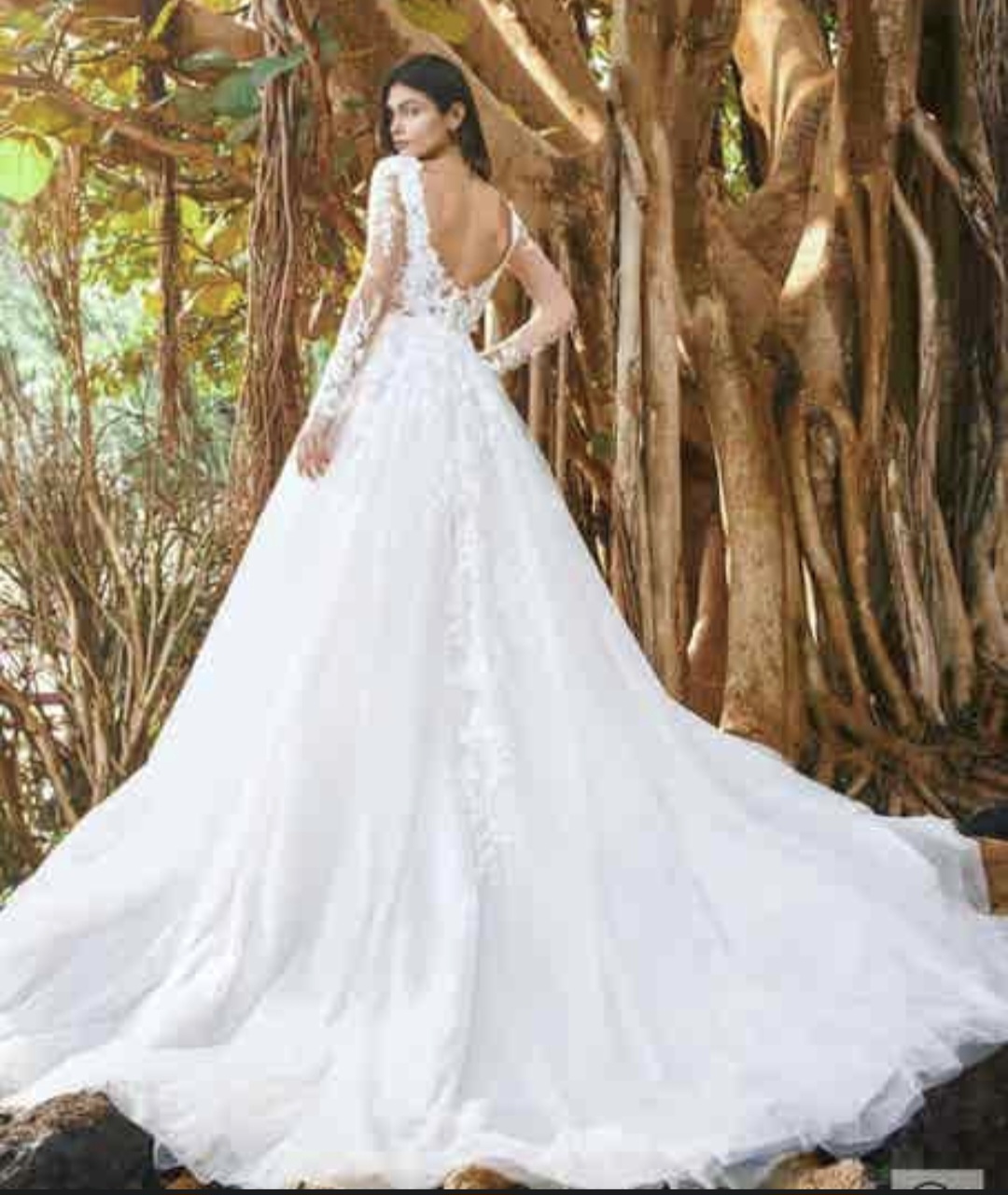 Vestido novia Pronovias Vestido novia Pronovias