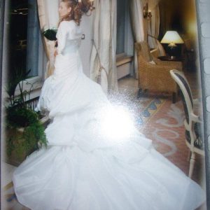 Vestido novia Pronovias 2010 Vestido novia Pronovias 2010