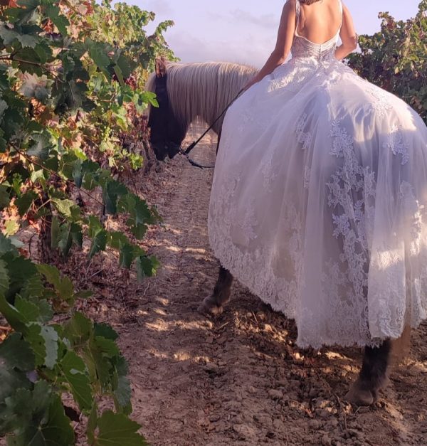 Vestido novia Rosa Clará