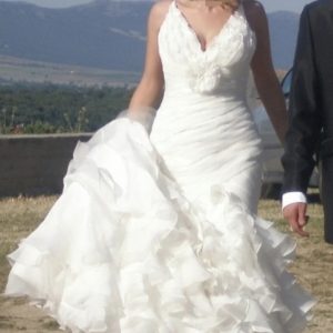 Vestido Pronovias y velo Vestido Pronovias y velo